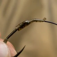 Avid Carp Outline Flecktone Line Aligners